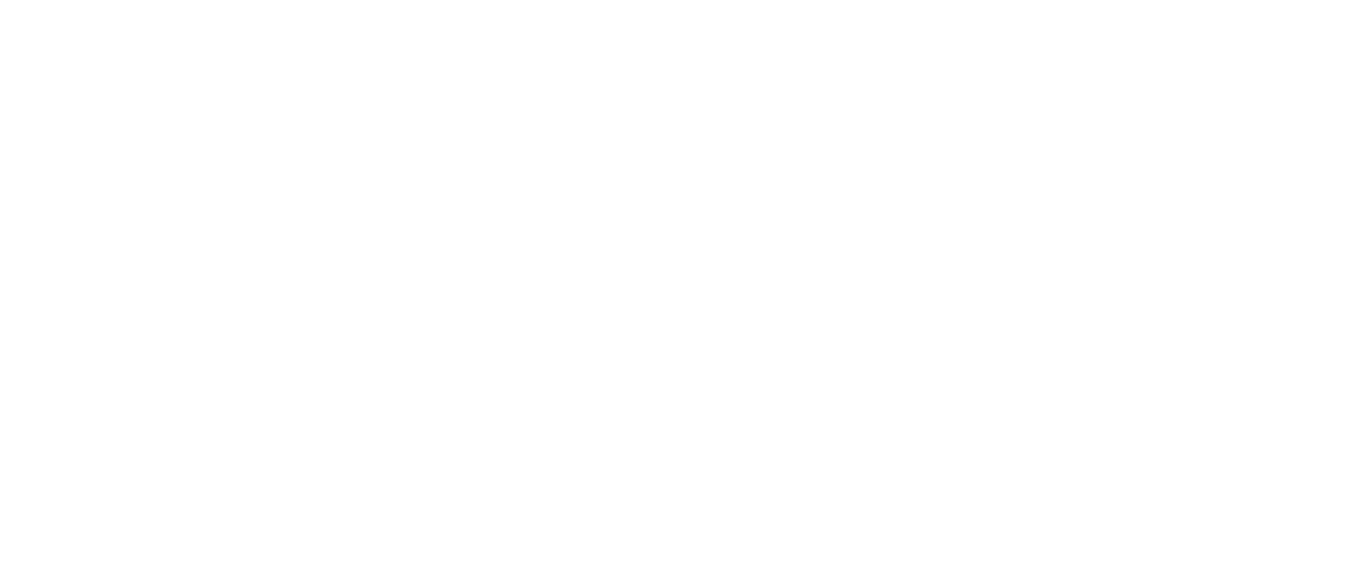 RG PLUS auto dealer